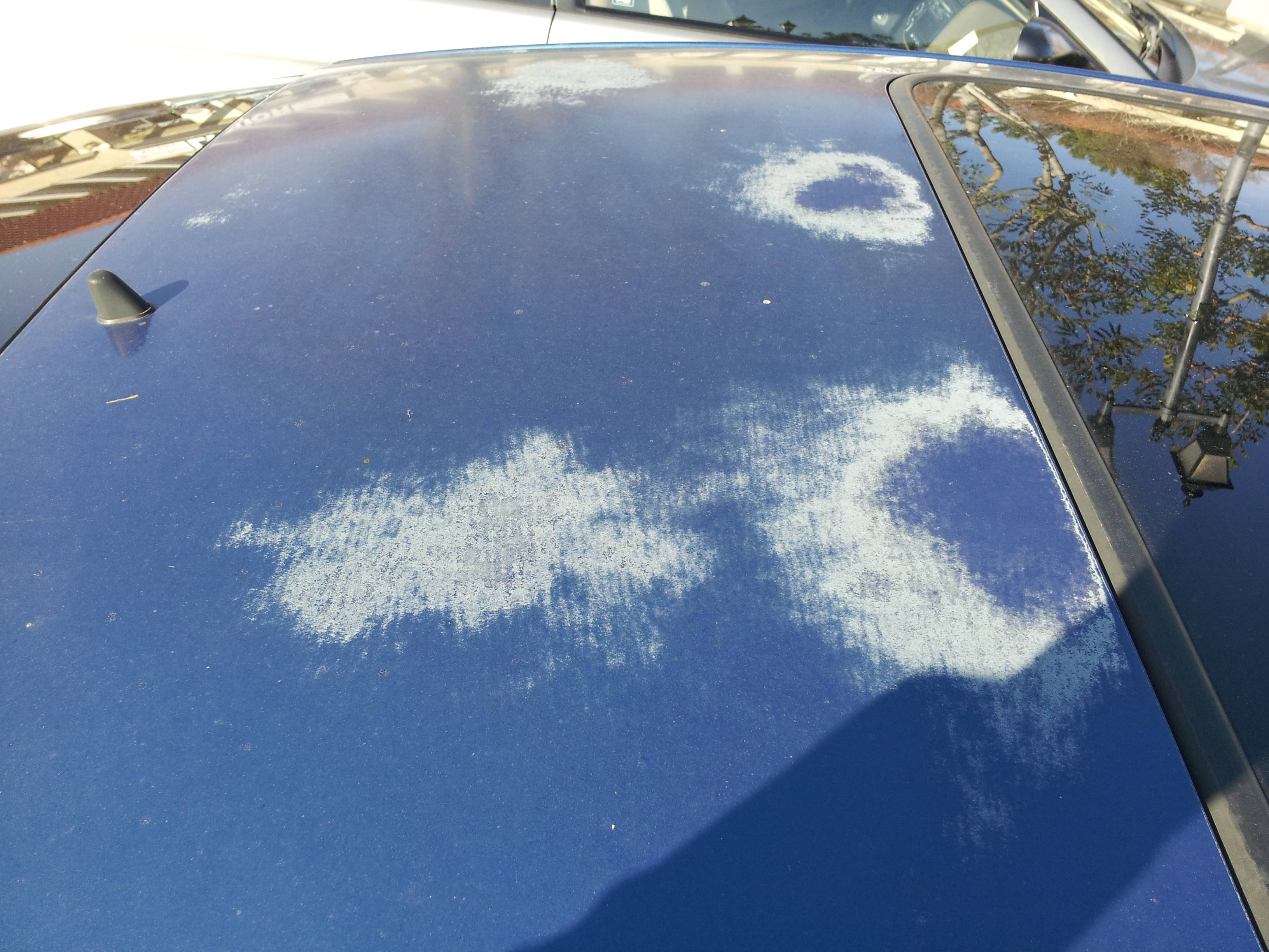 How the Sun Damages Cars’ Paint